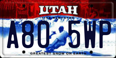 UT license plate A805WP