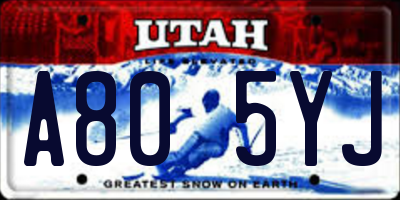 UT license plate A805YJ