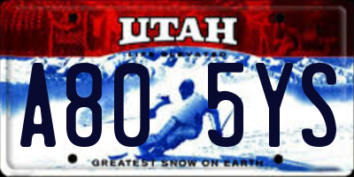 UT license plate A805YS