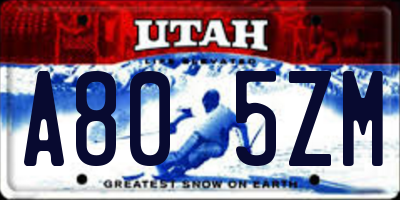 UT license plate A805ZM