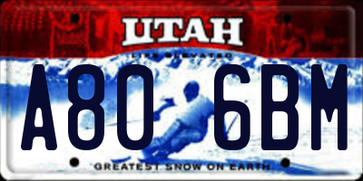 UT license plate A806BM