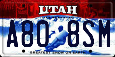 UT license plate A808SM