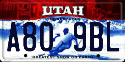 UT license plate A809BL