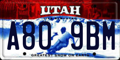 UT license plate A809BM