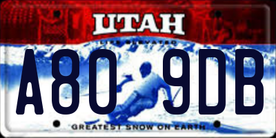 UT license plate A809DB