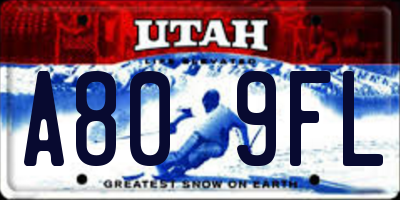 UT license plate A809FL