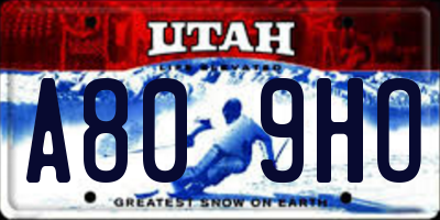 UT license plate A809HO