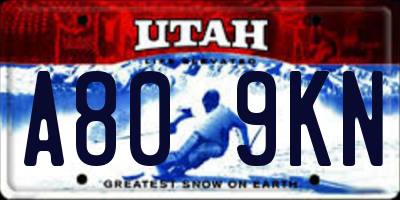 UT license plate A809KN