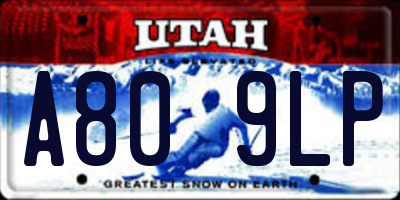 UT license plate A809LP