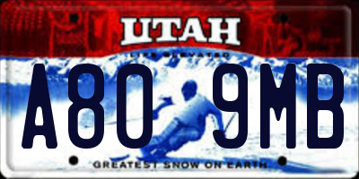 UT license plate A809MB