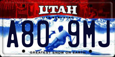 UT license plate A809MJ