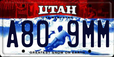 UT license plate A809MM