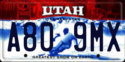 UT license plate A809MX