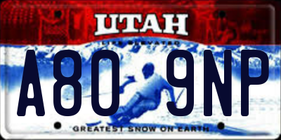 UT license plate A809NP