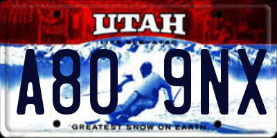 UT license plate A809NX