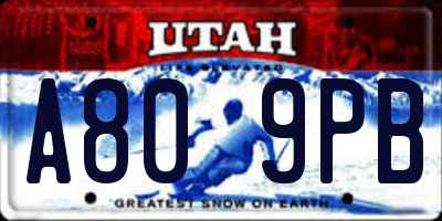 UT license plate A809PB