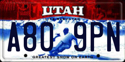UT license plate A809PN
