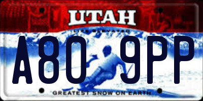 UT license plate A809PP