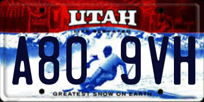 UT license plate A809VH