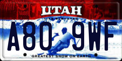 UT license plate A809WF