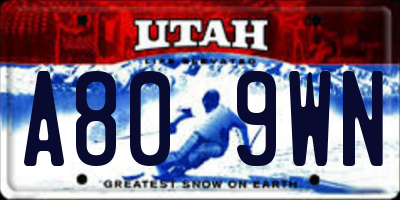 UT license plate A809WN