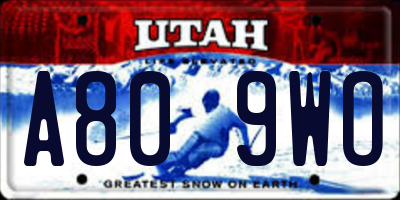 UT license plate A809WO