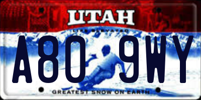 UT license plate A809WY