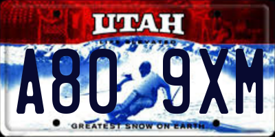 UT license plate A809XM