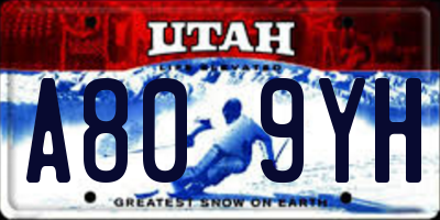UT license plate A809YH