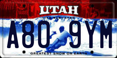 UT license plate A809YM
