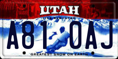 UT license plate A810AJ
