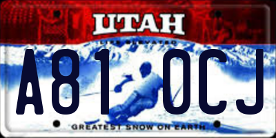 UT license plate A810CJ