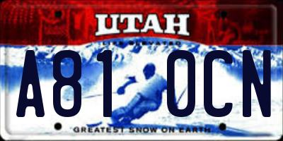 UT license plate A810CN