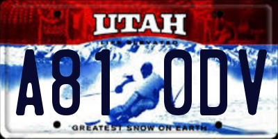 UT license plate A810DV