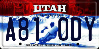 UT license plate A810DY