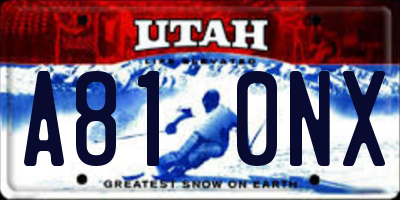 UT license plate A810NX