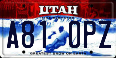 UT license plate A810PZ