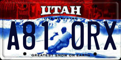 UT license plate A810RX