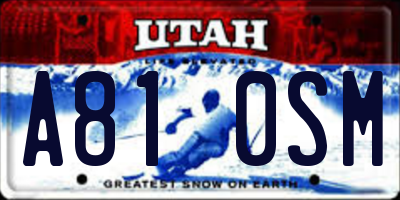UT license plate A810SM