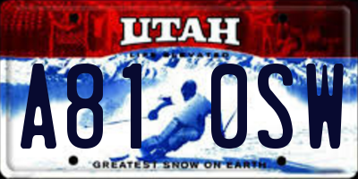 UT license plate A810SW