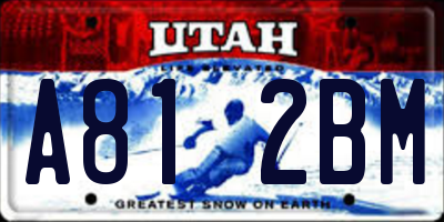 UT license plate A812BM