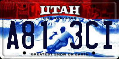 UT license plate A813CI