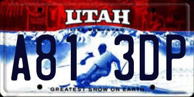 UT license plate A813DP