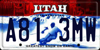 UT license plate A813MW