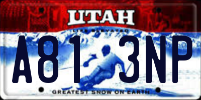 UT license plate A813NP