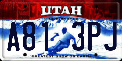 UT license plate A813PJ