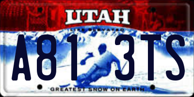 UT license plate A813TS