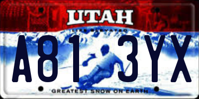 UT license plate A813YX