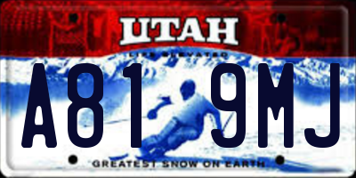 UT license plate A819MJ