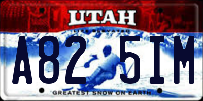 UT license plate A825IM